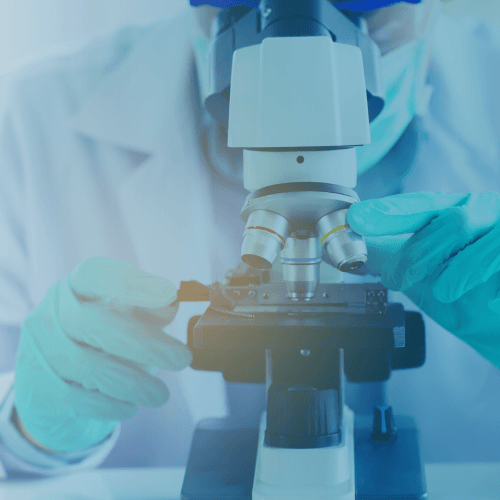 Life Sciences